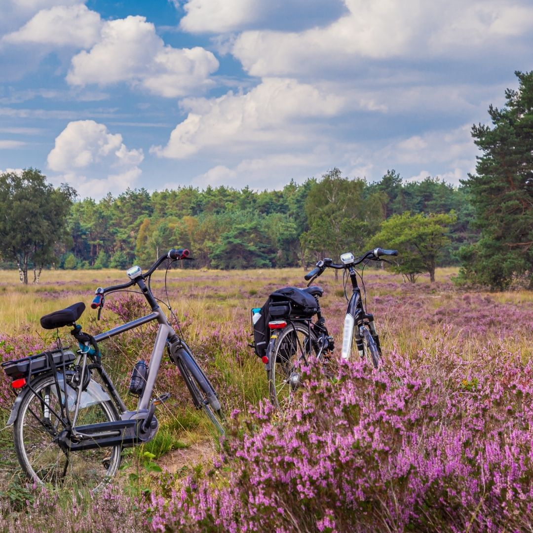 fietsen op de veluwe