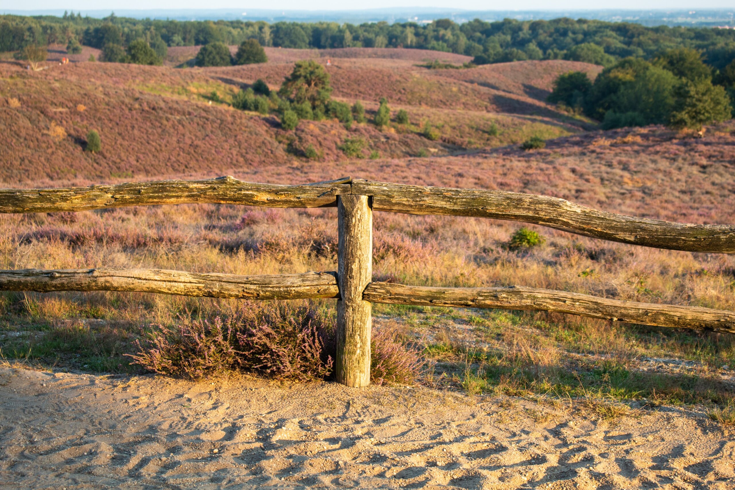 de veluwe
